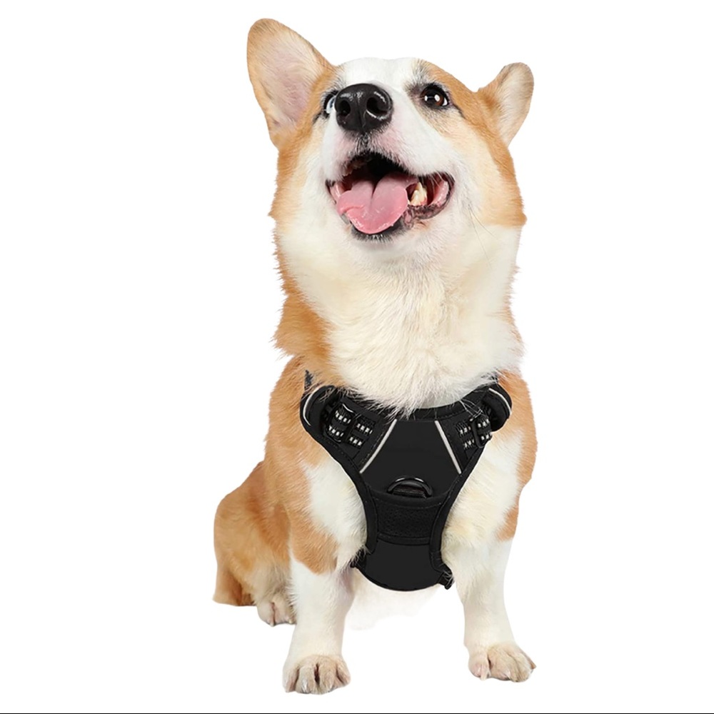 rabbitgoo No-Pull Pet Harness with 2 Leash Clips